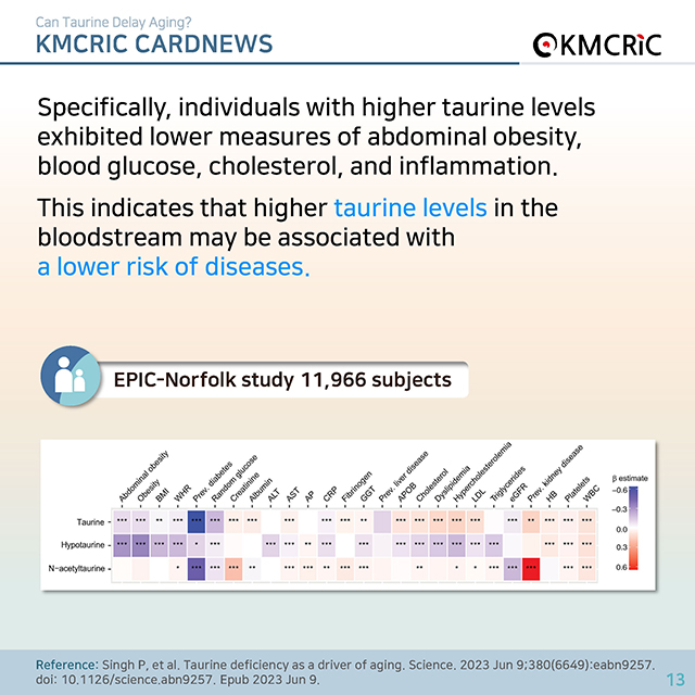 0074 cardnews-타우린이 노화를 늦출 수 있을까-영어_페이지_13.jpg