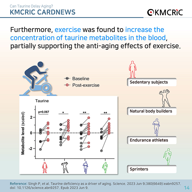 0074 cardnews-타우린이 노화를 늦출 수 있을까-영어_페이지_14.jpg