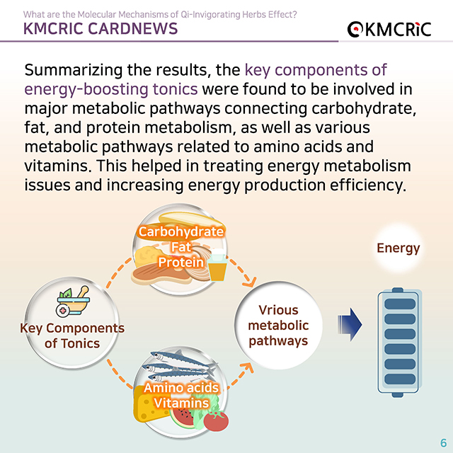 0073 cardnews-보약 효과의 생물학적 기전은-영어_페이지_6.jpg