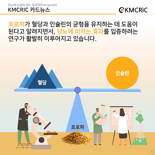 0082 cardnews-당뇨에 도움이 되는 호로파-한글_페이지_4.jpg