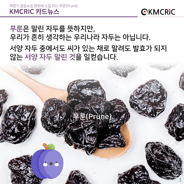 0084 cardnews-폐경기 골감소증 완화에 도움 되는 푸룬(Prune)-한글_페이지_03.jpg