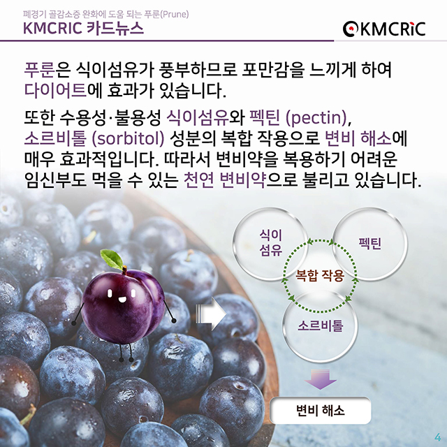 0084 cardnews-폐경기 골감소증 완화에 도움 되는 푸룬(Prune)-한글_페이지_04.jpg