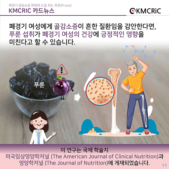 0084 cardnews-폐경기 골감소증 완화에 도움 되는 푸룬(Prune)-한글_페이지_11.jpg