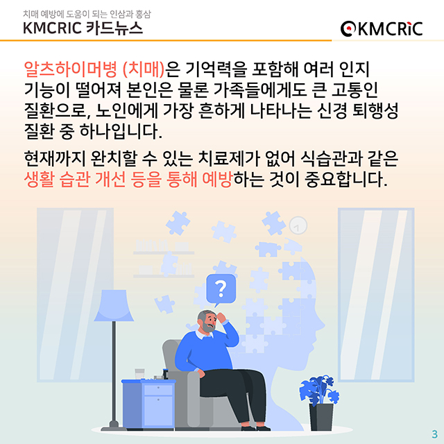 0085 cardnews-치매 예방에 도움이 되는 인삼과 홍삼-한글_페이지_03.jpg