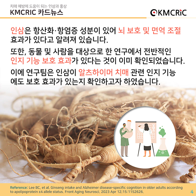 0085 cardnews-치매 예방에 도움이 되는 인삼과 홍삼-한글_페이지_04.jpg