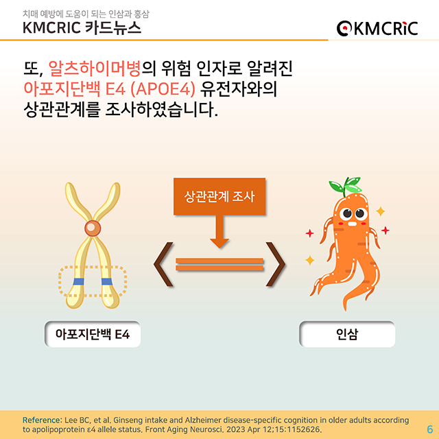 0085 cardnews-치매 예방에 도움이 되는 인삼과 홍삼-한글_페이지_06.jpg