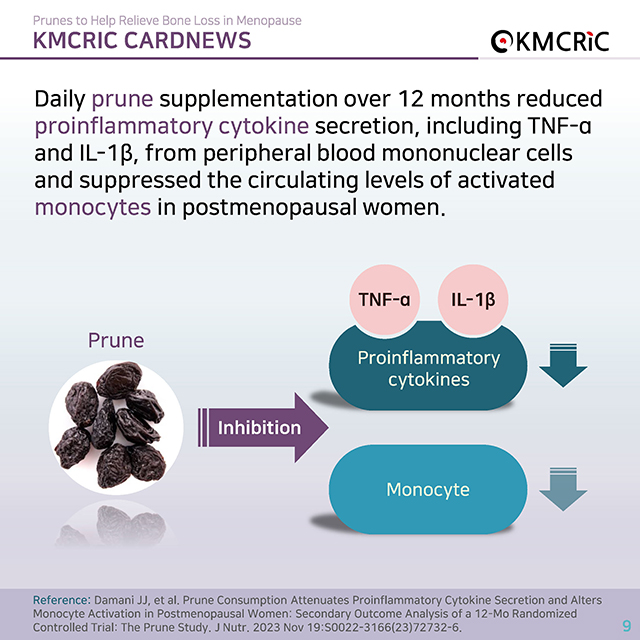 0084 cardnews-폐경기 골감소증 완화에 도움 되는 푸룬(Prune)-영어_페이지_09.jpg