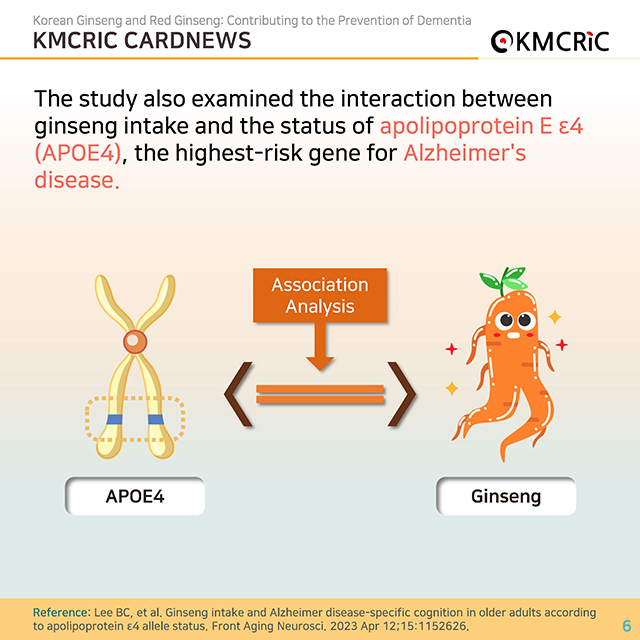 0085 cardnews-치매 예방에 도움이 되는 인삼과 홍삼-영어_페이지_06.jpg